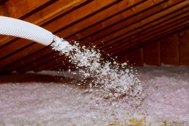 Best Attic Insulation Installation  in Covina, CA