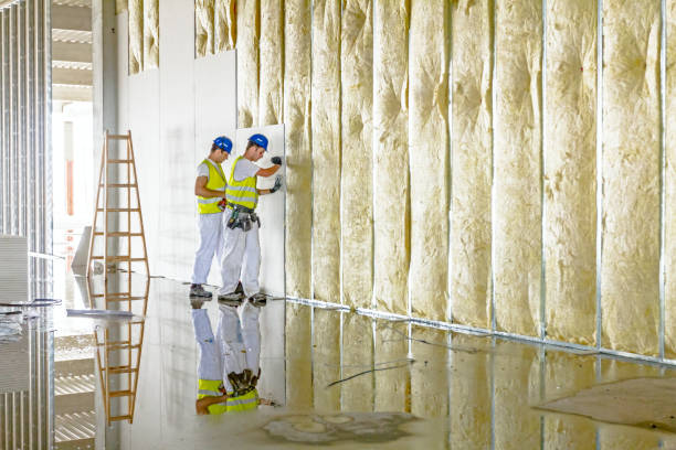 Best Cellulose Insulation  in Covina, CA